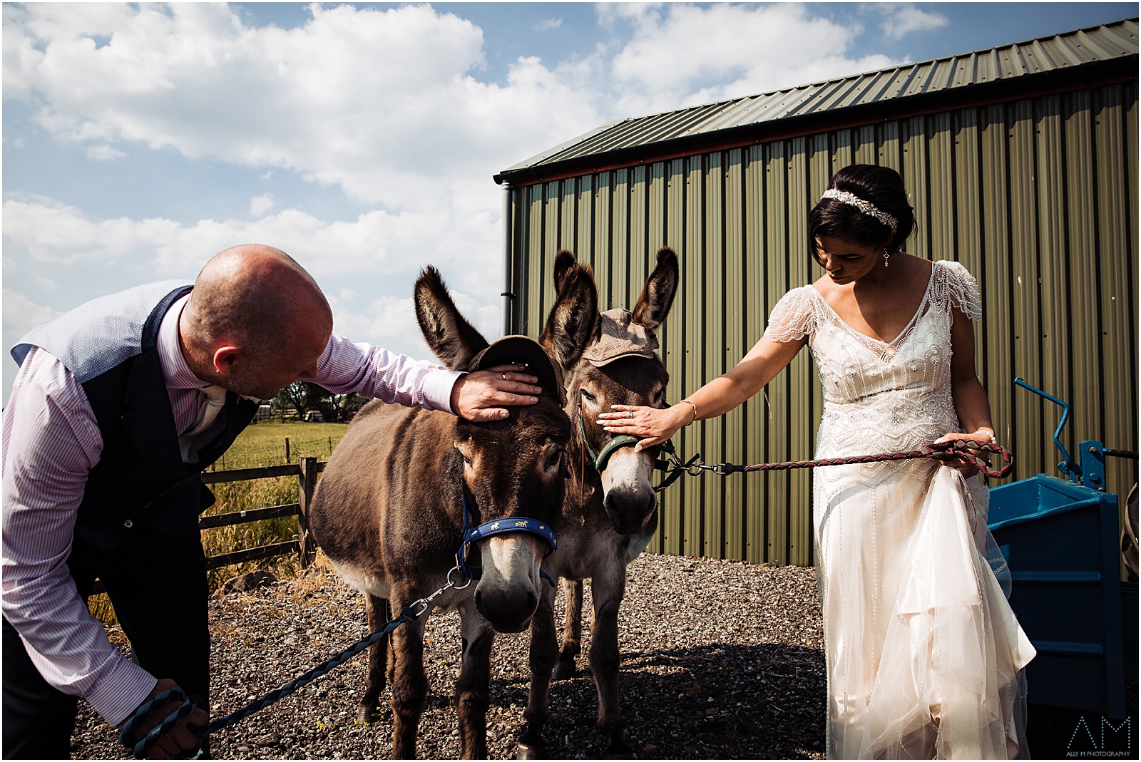 bride and groom with donkeys